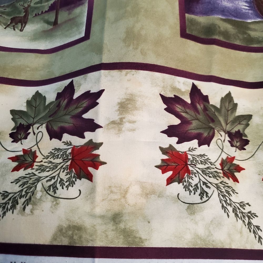 Beautiful Moda fabric almost a yard - Picture 5 of 5
